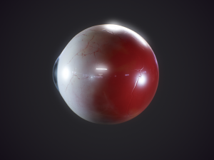 eyeball realistic 3D मॉडल