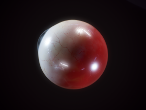 eyeball realistic 3D मॉडल