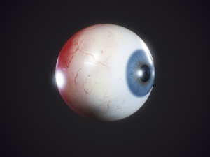 eyeball realistic 3D मॉडल