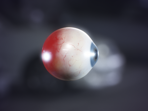 eyeball realistic 3D मॉडल