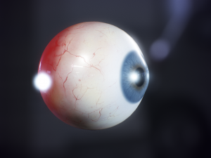 eyeball realistic 3D मॉडल