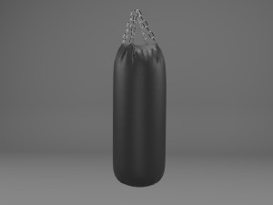 Sandbag-punching bag 3Dモデル