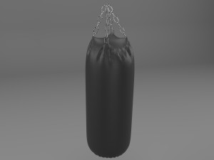 Sandbag-punching bag Modello 3D