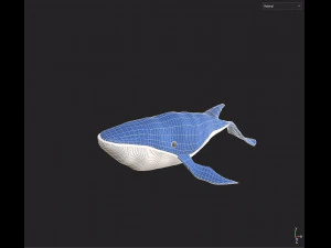 Plush whale toy 3D Model
