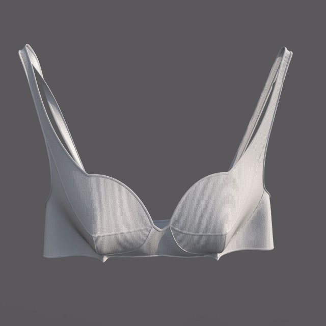 Lingerie Modelo 3D .c4d .max .obj .3ds .fbx .stl .blend 