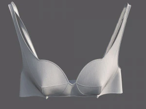 Lingerie Modelo 3D