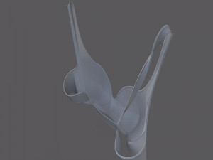 Lingerie Modelo 3D