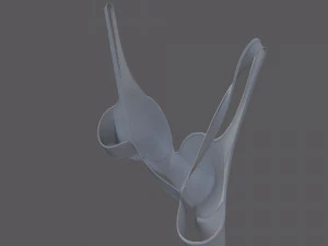 Lingerie 3D Model