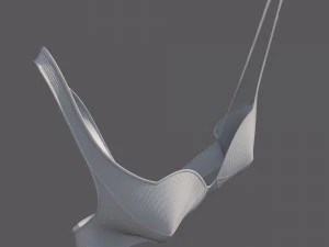 Lingerie 3D Model