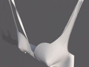 Lingerie Modelo 3D