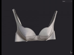 Lingerie Modelo 3D