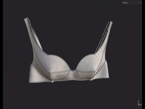 Lingerie 3D Model