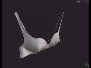 Lingerie 3D Model