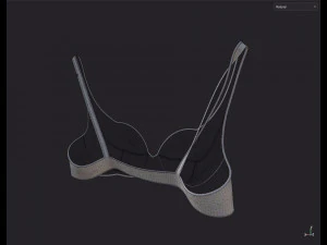 Lingerie 3D Model