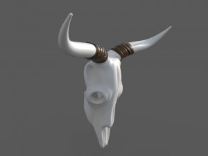 Decor Skull 3D Model