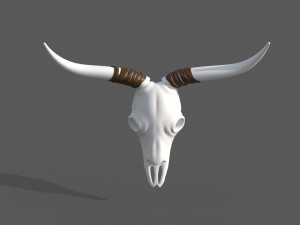 Decor Skull Modelo 3D