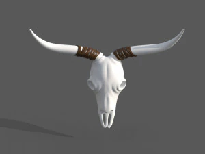 Decor Skull 3D Model