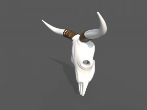 Decor Skull Modelo 3D