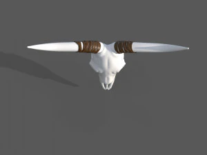 Decor Skull 3D Model