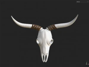 Decor Skull 3D Model