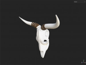 Decor Skull Modelo 3D