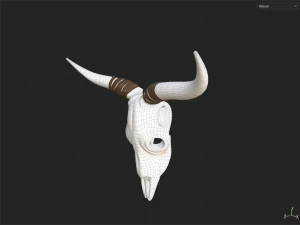 Decor Skull 3D Model