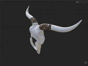 Decor Skull 3D Model