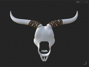 Decor Skull Modelo 3D
