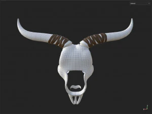 Decor Skull 3D Model
