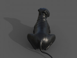 Decor Dog 3D 모델