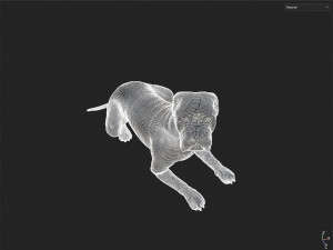 Decor Dog 3D 모델