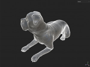 Decor Dog 3D 모델