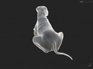 Decor Dog 3D 모델