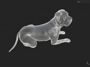 Decor Dog 3D 모델