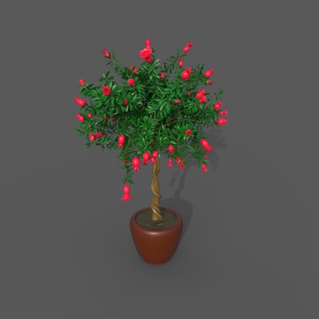Pomegranate Tree Model 3D .c4d .max .obj .3ds .fbx .stl .blend 
