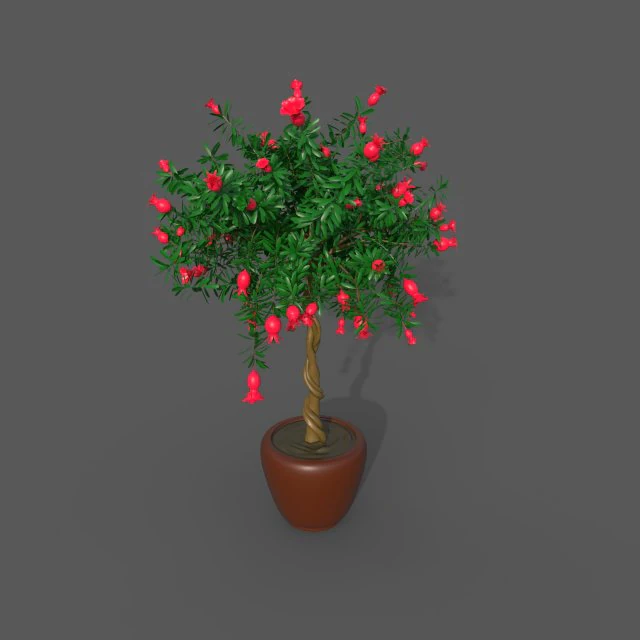 Granaatappelboom 3D Model .c4d .max .obj .3ds .fbx .stl .blend
