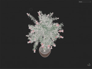 Pomegranate Tree Model 3D
