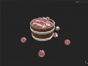 Bucket Full Of Tomatoes 3D Model