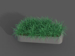 Lawn 3D Model