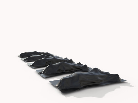 Corpse cover Model 3D