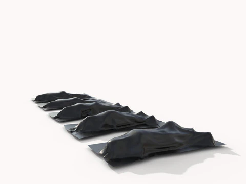 Corpse cover 3D Model