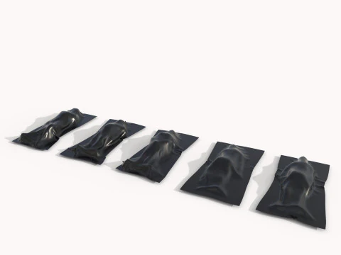 Corpse cover 3D Model