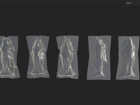Corpse cover Model 3D