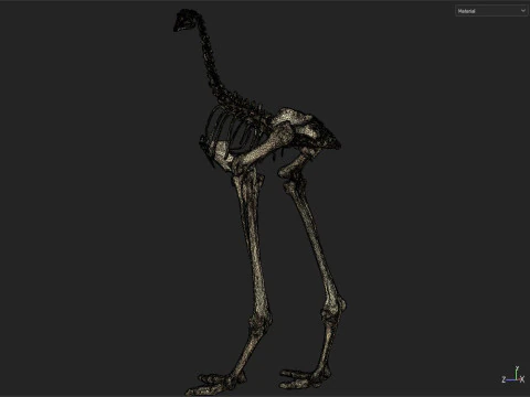 Dinosaur fossil 3D Model