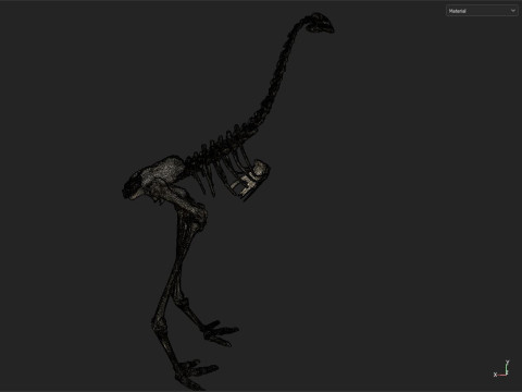 Dinosaur fossil Model 3D