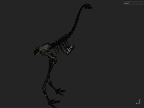 Dinosaur fossil 3D Model
