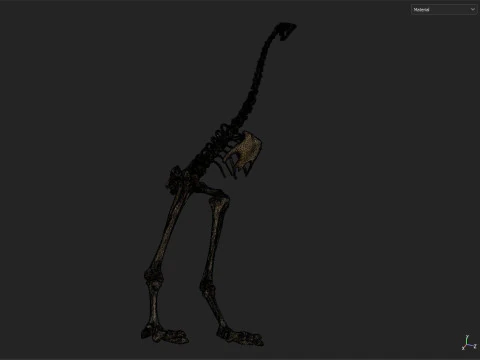 Dinosaur fossil 3D Model