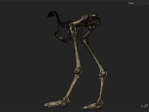 Dinosaur fossil 3D Model