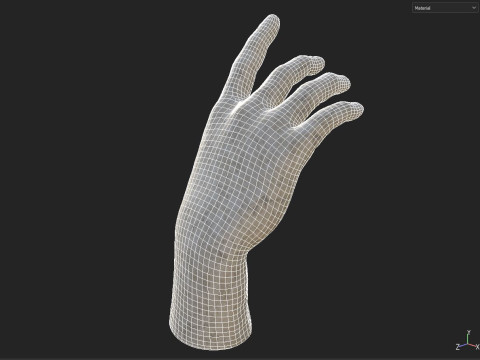 Hand sculpture Model 3D