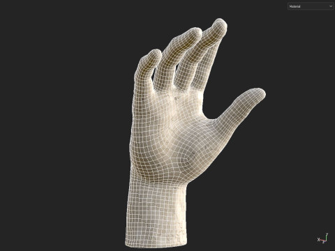 Hand sculpture Model 3D
